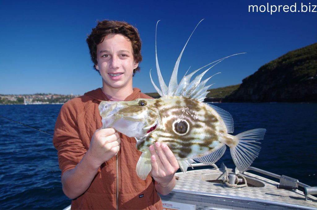 John Dory พวกมันเป็นปลาที่มีนิสัยเฉพาะที่ชอบน้ำในเขตร้อนทั่วโลกเพราะมันชอบความอุ่น ยกเว้นพวกที่อยู่ทางเหนือ มีทฤษฎีบางอย่างเกี่ยว
